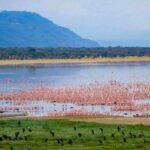 Lake Manyara​ national park view